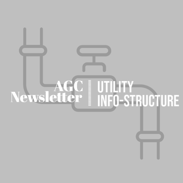 Utility INFO-Structure